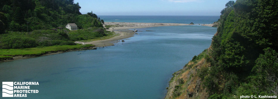 a river flows between two high, green banks out to the ocean